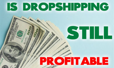 is-dropshipping-still-profitable
