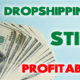 is-dropshipping-still-profitable